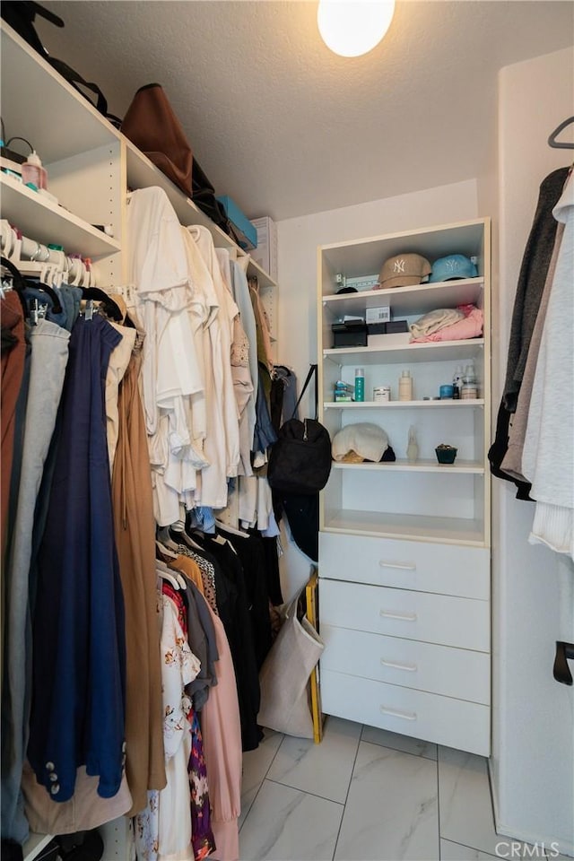 view of walk in closet