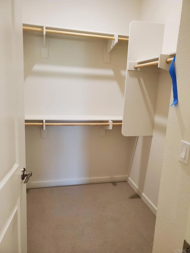 spacious closet with light carpet