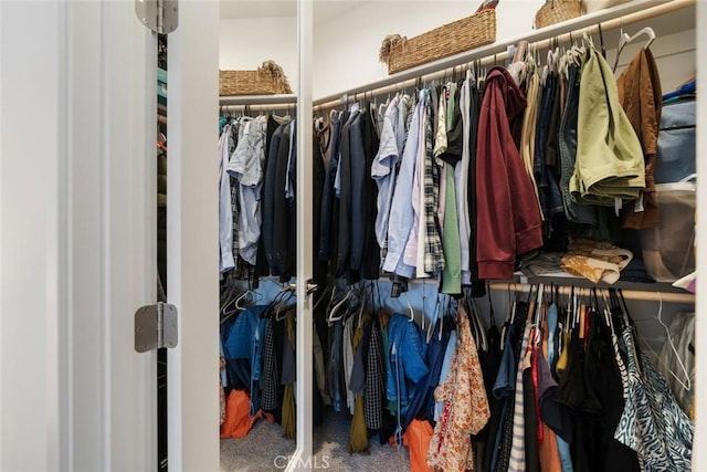 spacious closet with carpet