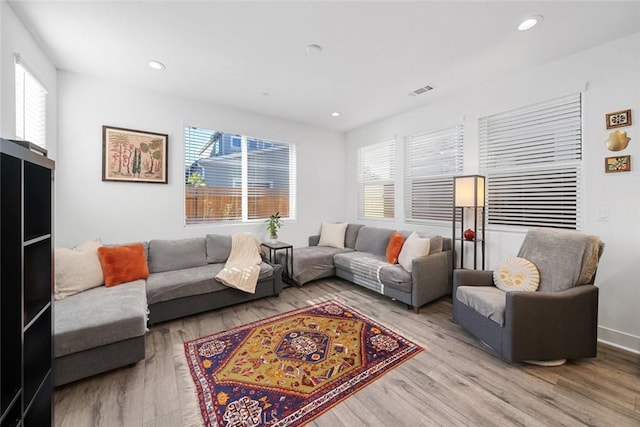 living room featuring light hardwood / wood-style floors and plenty of natural light