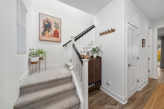 stairway with wood-type flooring