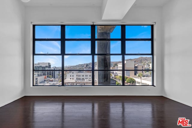 unfurnished room with a healthy amount of sunlight and dark hardwood / wood-style floors