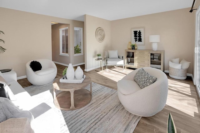 living room featuring wood-type flooring