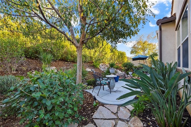 view of yard featuring a patio