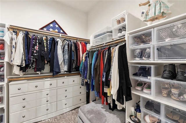 spacious closet featuring carpet flooring