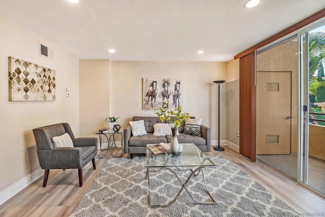 living room featuring light hardwood / wood-style flooring