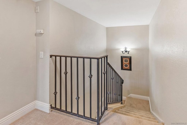 stairway featuring carpet floors