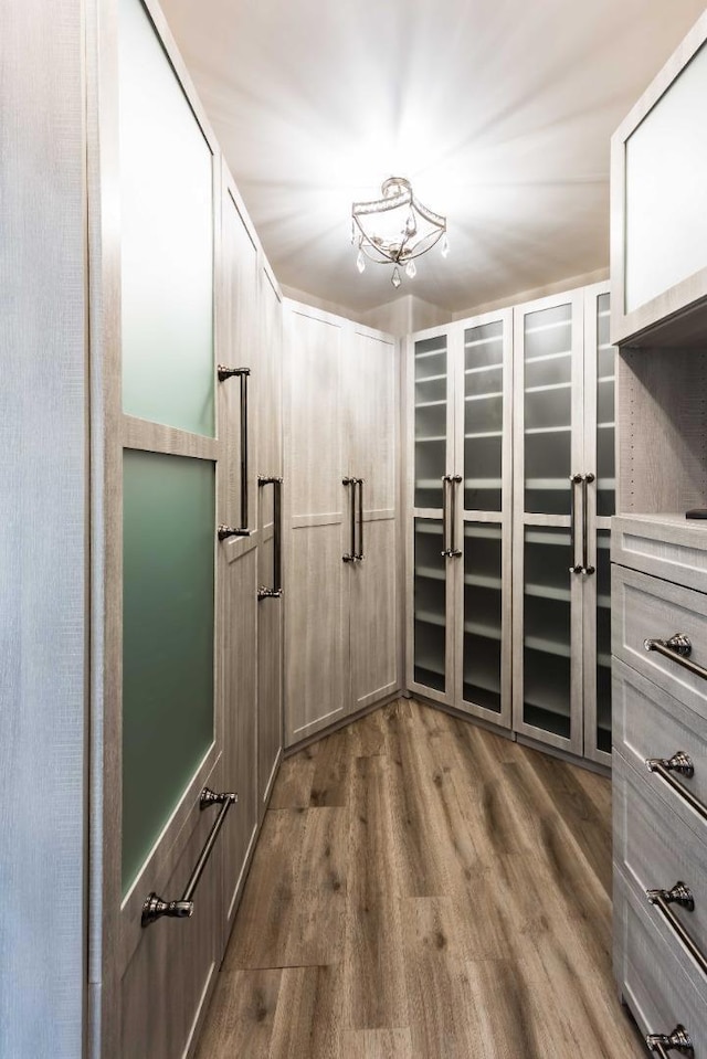 spacious closet with hardwood / wood-style flooring