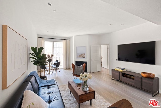 living room featuring light hardwood / wood-style floors