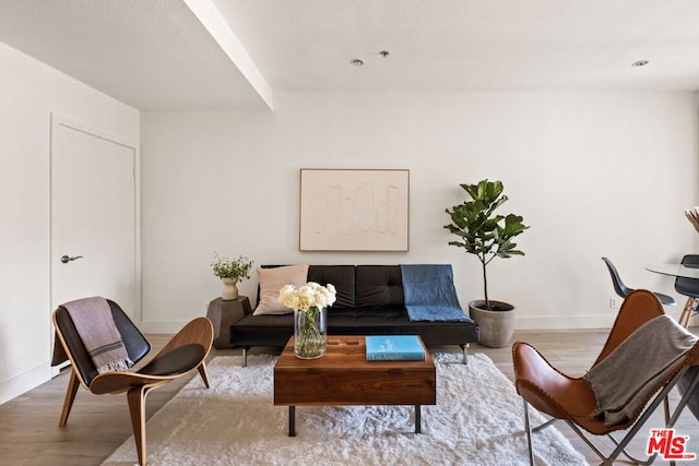 living room featuring light wood-type flooring