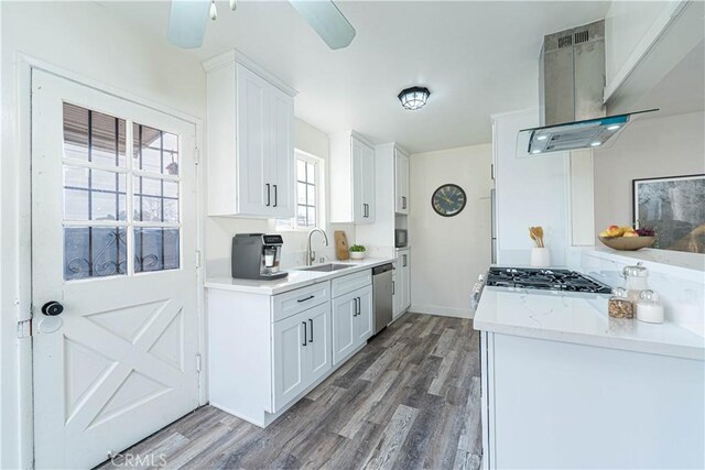 kitchen with white cabinetry, sink, plenty of natural light, ventilation hood, and stainless steel dishwasher