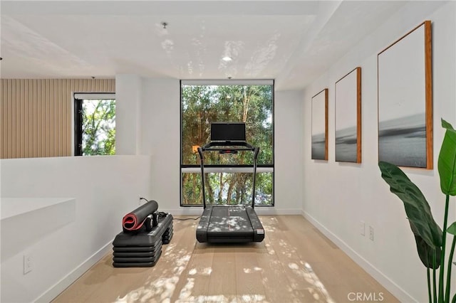 living area featuring wood-type flooring