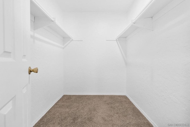 walk in closet featuring carpet