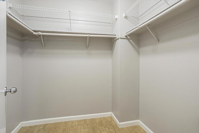 walk in closet with light hardwood / wood-style floors