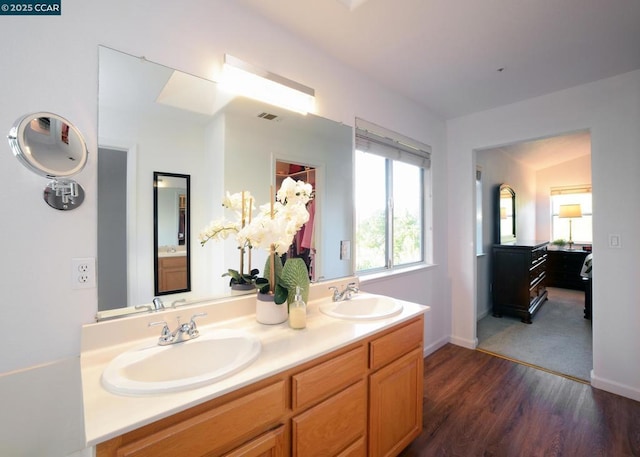 bathroom featuring wood-type flooring and vanity