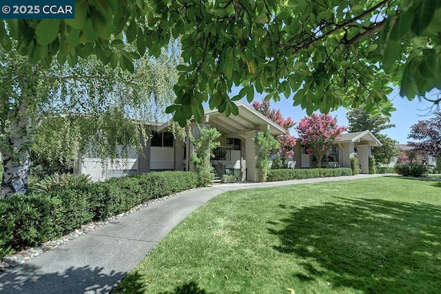 view of front of property featuring a front lawn