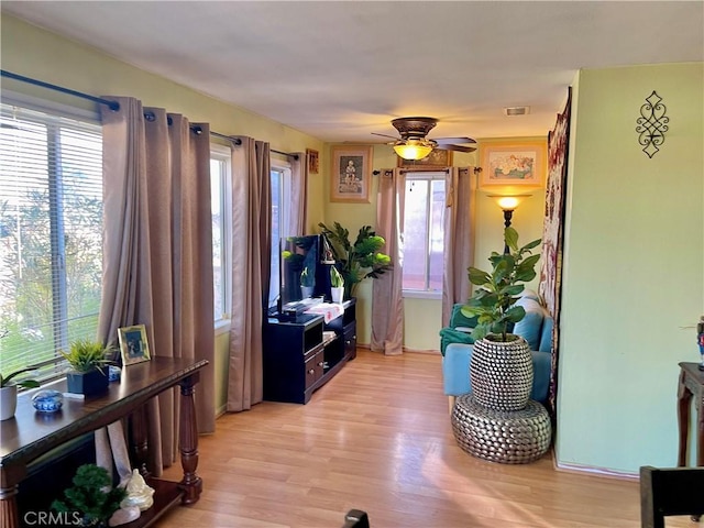 entryway featuring ceiling fan, a wealth of natural light, and light hardwood / wood-style flooring