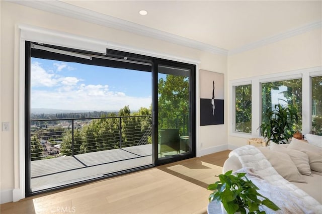 doorway to outside with light hardwood / wood-style flooring and crown molding