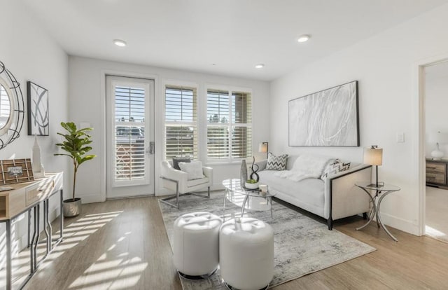 living room featuring light hardwood / wood-style floors