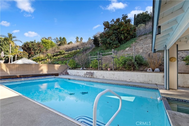 view of swimming pool