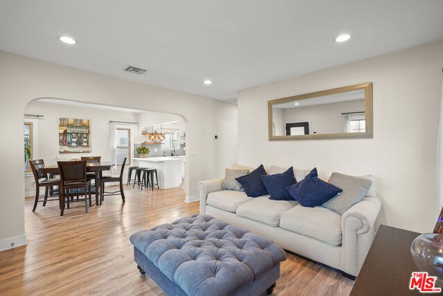 living room with hardwood / wood-style flooring and sink