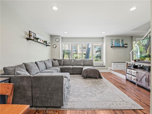 living room featuring hardwood / wood-style flooring