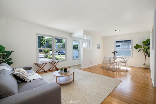 living room with hardwood / wood-style floors