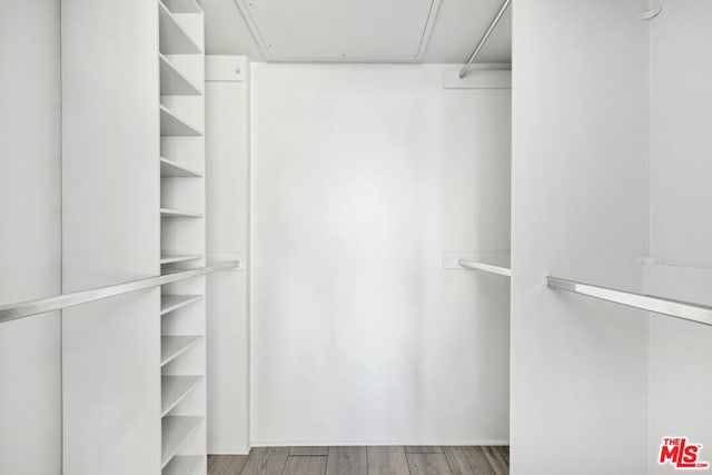 spacious closet featuring hardwood / wood-style floors