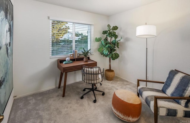 view of carpeted home office