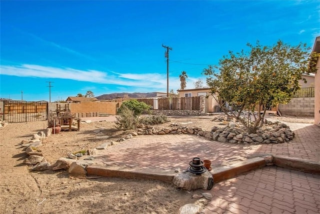 view of yard with a patio area