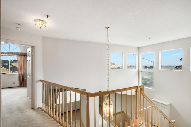 corridor with light colored carpet