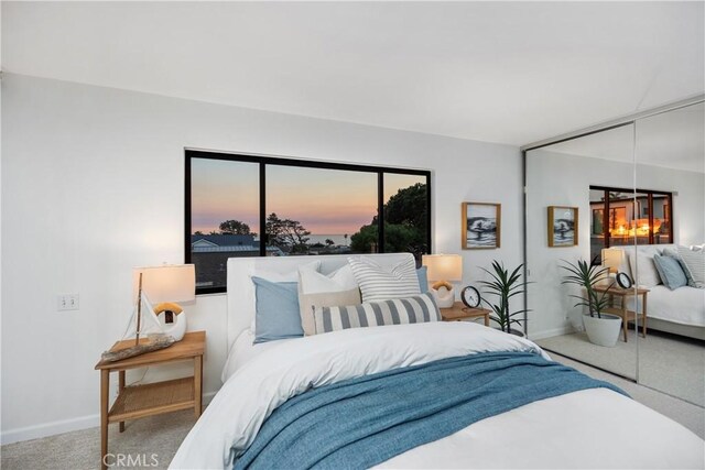 bedroom with a closet and carpet flooring