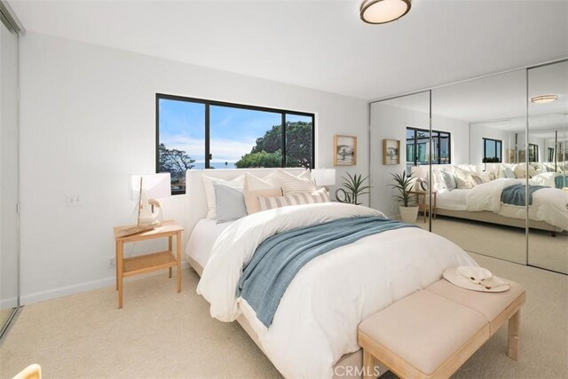 bedroom with a closet and carpet flooring