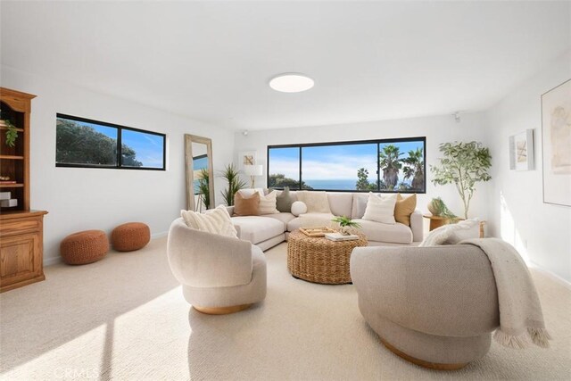 living room with carpet and a healthy amount of sunlight