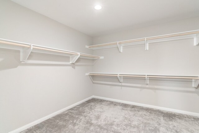 walk in closet featuring light carpet