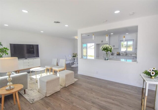 living room with hardwood / wood-style flooring and sink