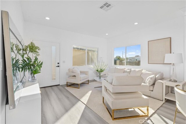 living room featuring light hardwood / wood-style floors