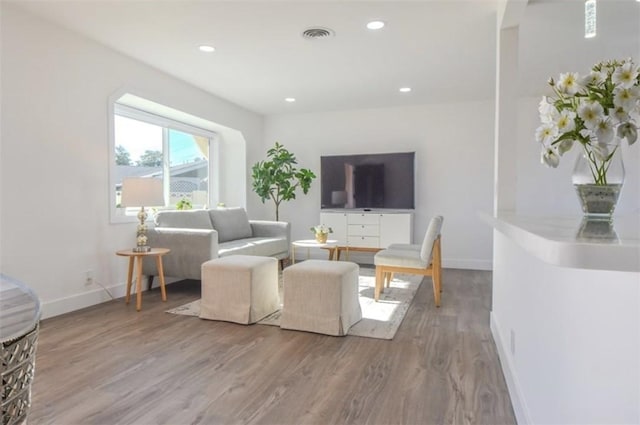 living room with wood-type flooring