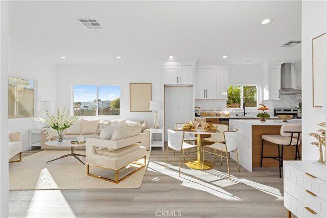 living room featuring a healthy amount of sunlight, light hardwood / wood-style flooring, and sink