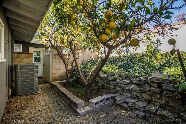 view of yard featuring central air condition unit