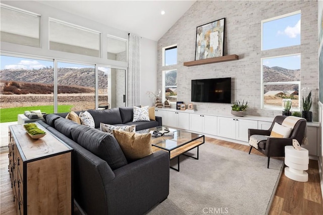 living room with light hardwood / wood-style floors and high vaulted ceiling