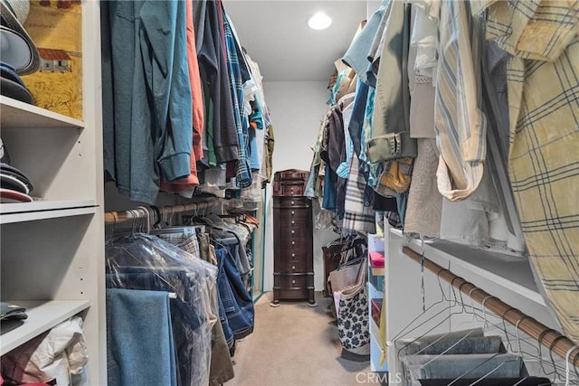 view of spacious closet