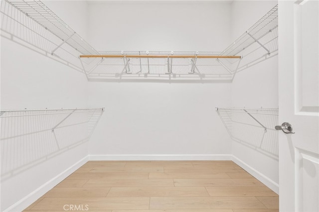 spacious closet with wood-type flooring