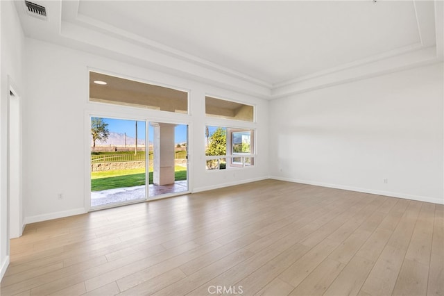 empty room with light hardwood / wood-style floors and a raised ceiling