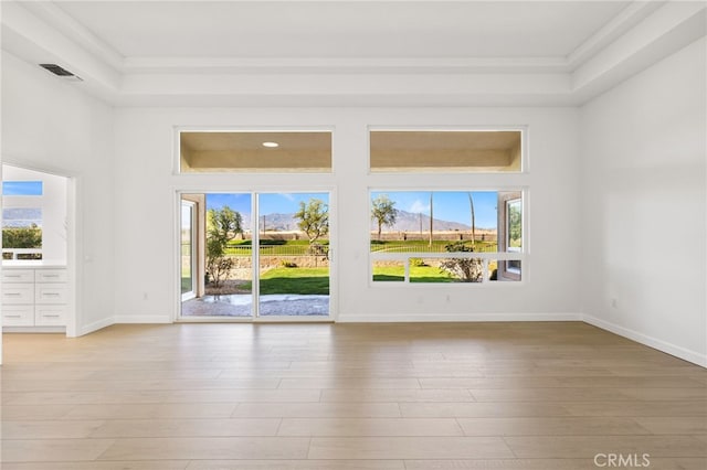 empty room featuring a raised ceiling, a wealth of natural light, and light hardwood / wood-style flooring