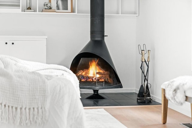 room details with a wood stove