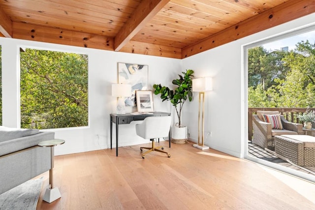 office space with light hardwood / wood-style floors and wooden ceiling