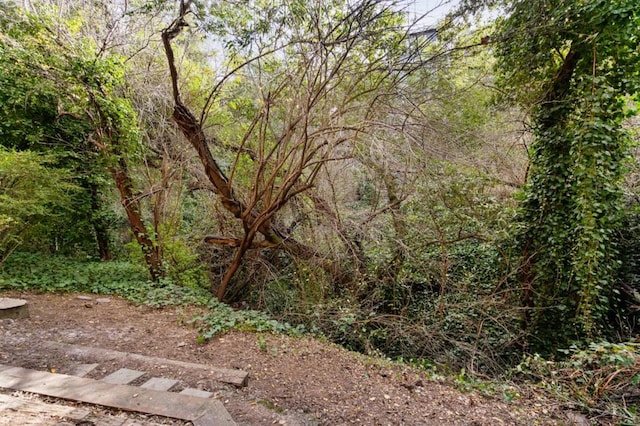 view of landscape