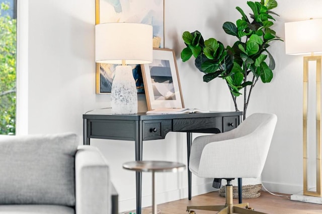 office space featuring hardwood / wood-style floors