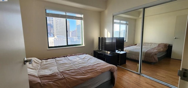 bedroom featuring hardwood / wood-style floors and a closet